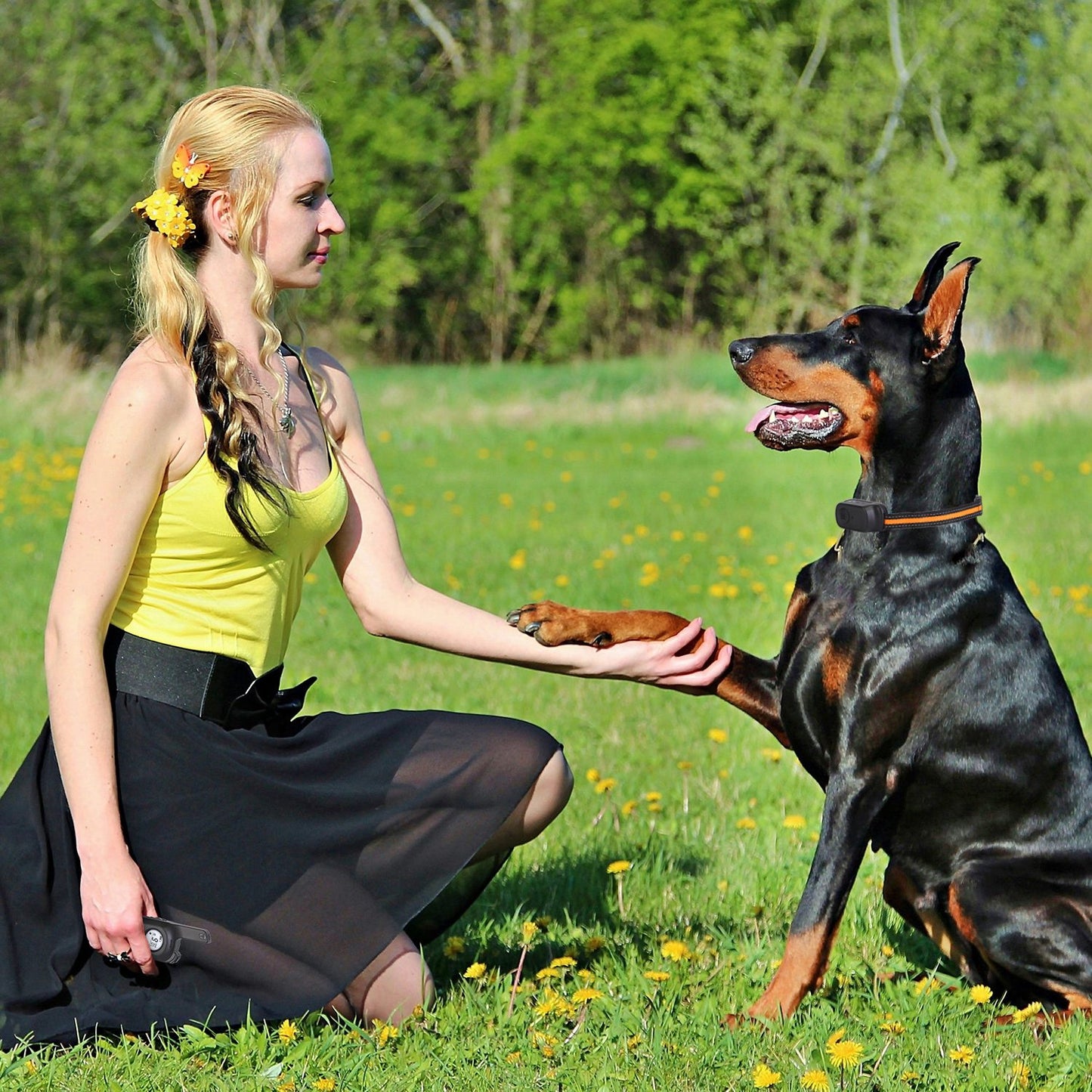 Dog Training Collar Waterproof Shock Vibration Beep Remote 984FT Range