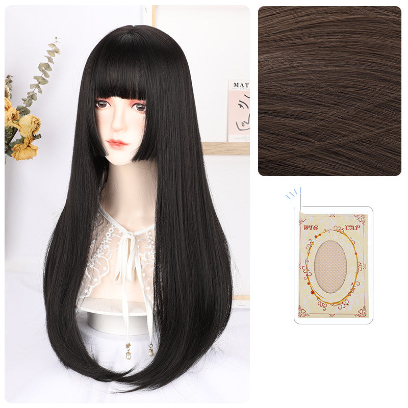 Long Straight Synthetic Wig - 60cm Hair Net