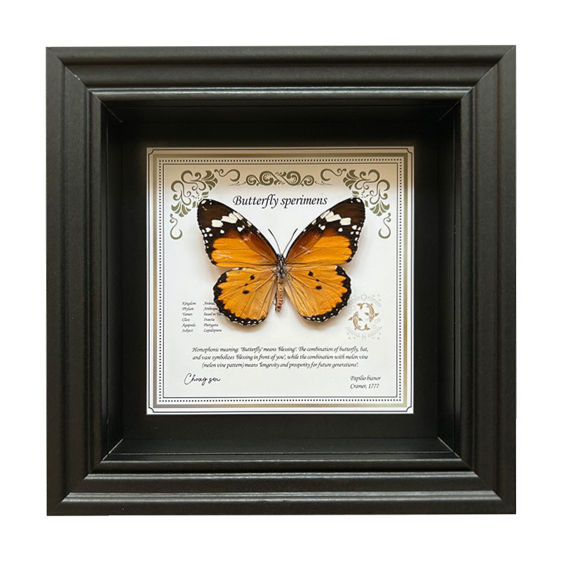 Butterfly Specimen Wall Art - Framed Decorative Butterfly Print - Multiple Sizes & Styles