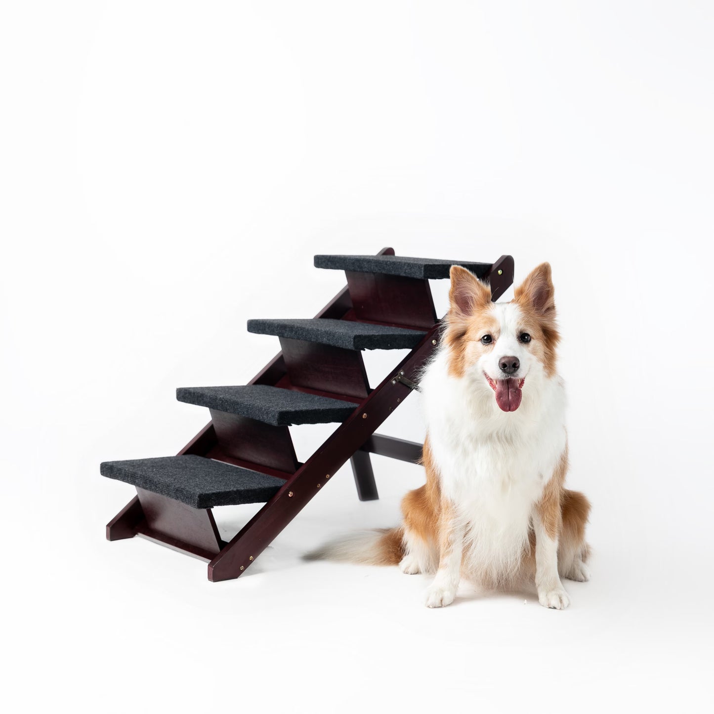 Foldable Wooden Dog Stairs & Ramp - 4 Levels Pet Access Ladder for Beds & Cars