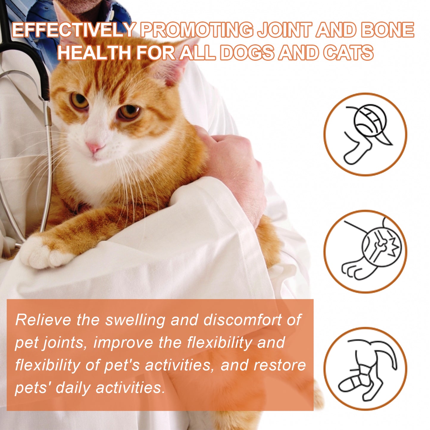 Pet Joint Support Spray for Dogs & Cats - Natural Relief & Mobility Aid