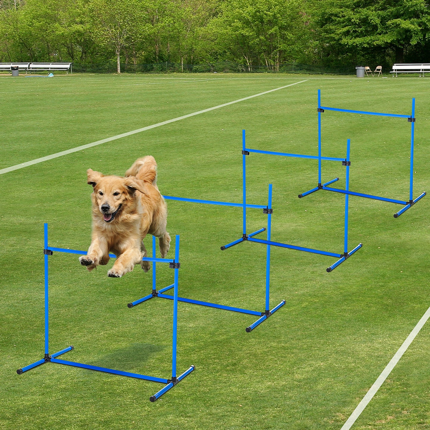 Dog Agility Training Kit with Adjustable Height Jumps and Carry Bag - Blue