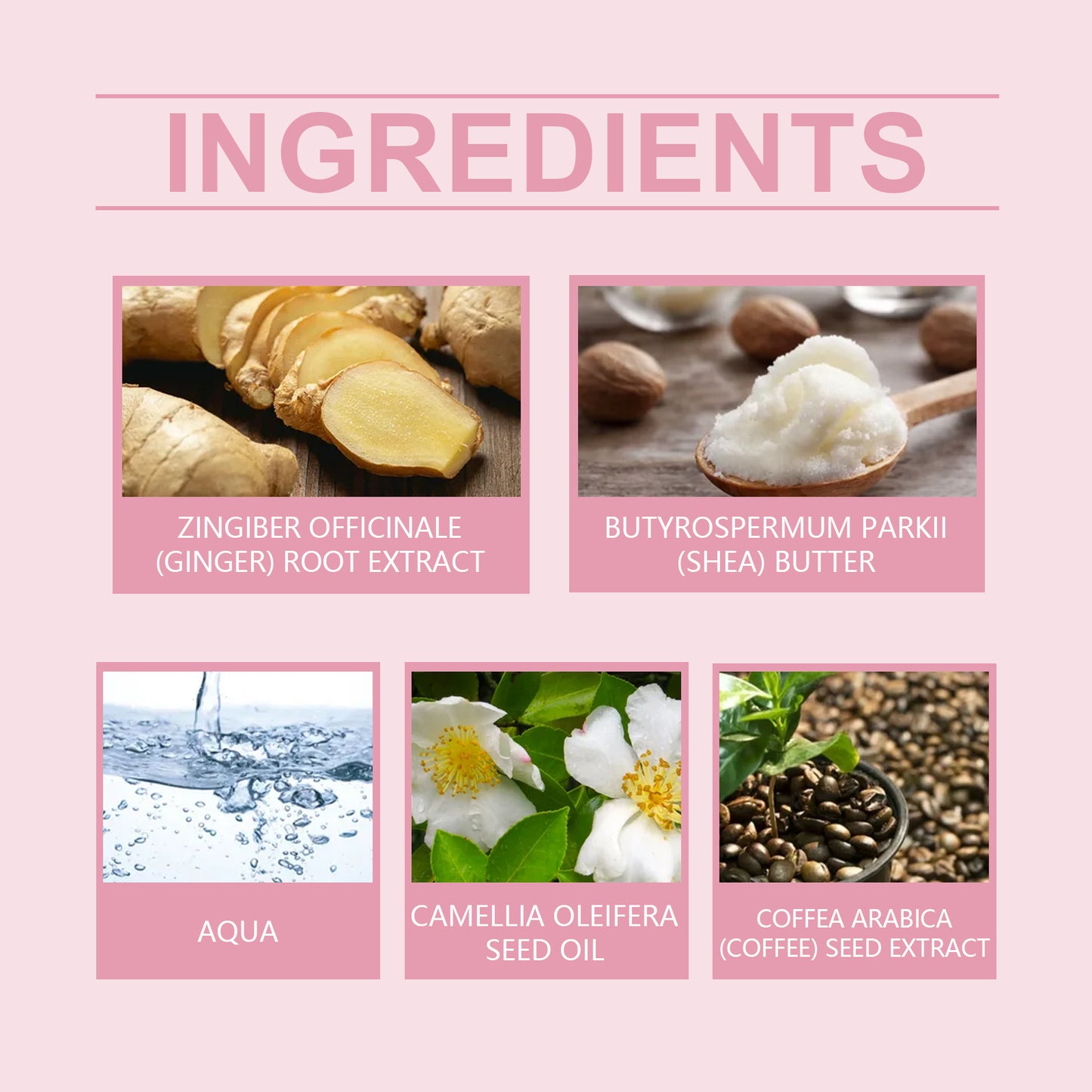 Firming Body Massage Cream with Shea Butter & Ginger - Moisturizing Formula