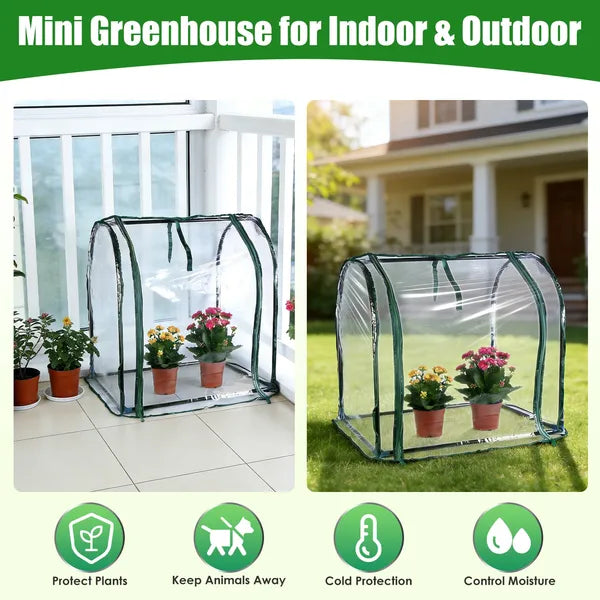 Tabletop Mini Greenhouse - Portable Plant Protection Tent