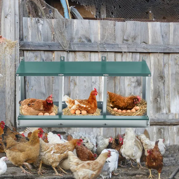Galvanized Steel Chicken Nesting Boxes with 3 Compartments, Easy Assembly