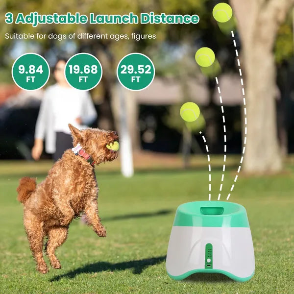 Pet Plush Toy Ball Launcher with 6 Tennis Balls for Small & Medium Dogs - Green