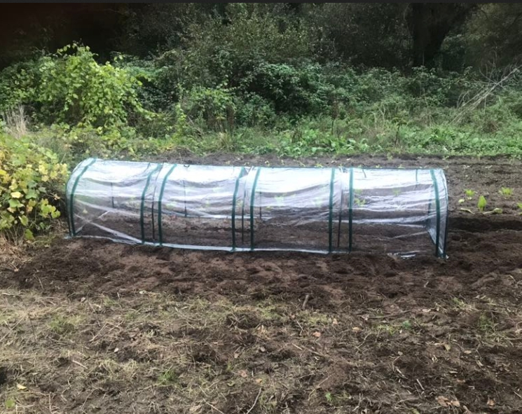 Portable Greenhouse with 4 Zippered Doors - Dark Green