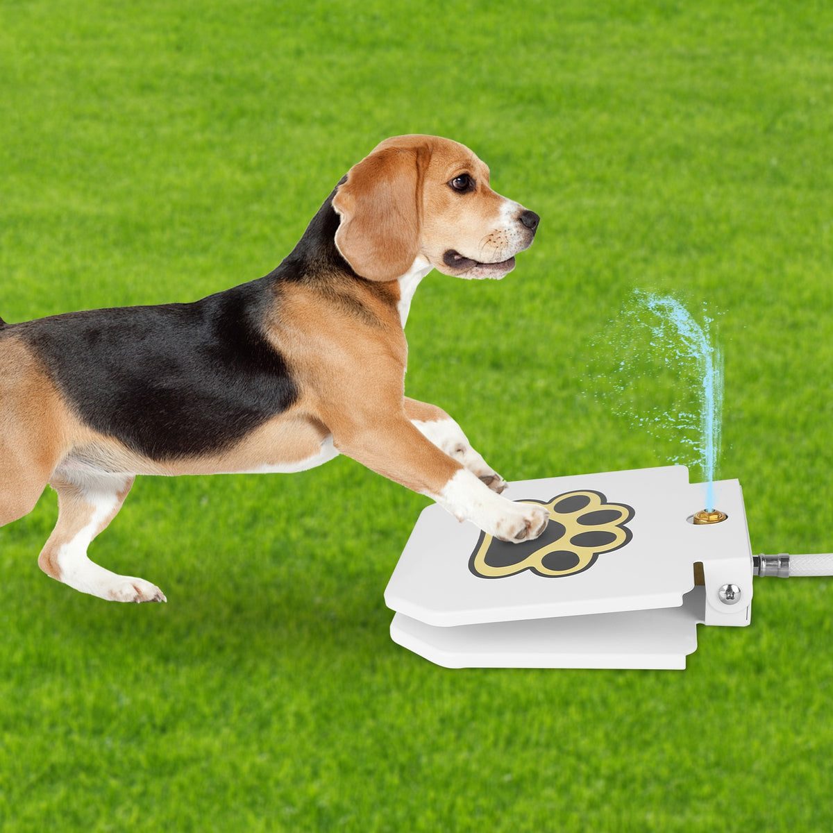 Outdoor Dog Water Fountain with Paw Pedal - Self-Serve Pet Water Dispenser