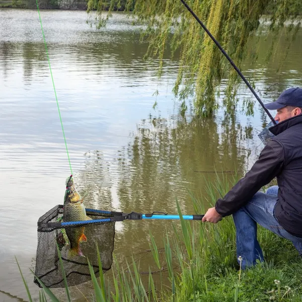 Foldable Fishing Net with Aluminum Alloy Handle - 15.74" x 28.74"