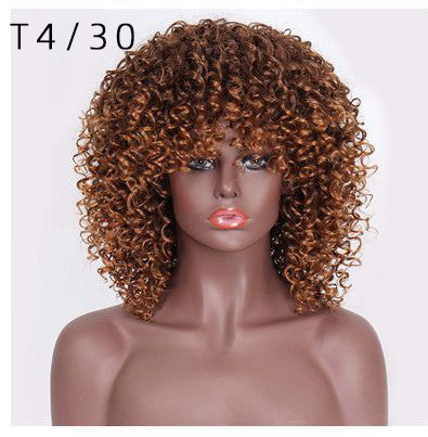 African Small Curly Wig - Long Hair 15 inch