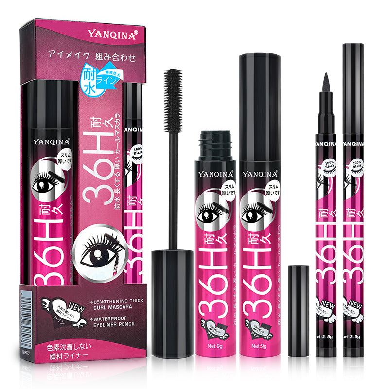 Eyeliner and Mascara Makeup Set - Eye Makeup Kit with Multiple Colors