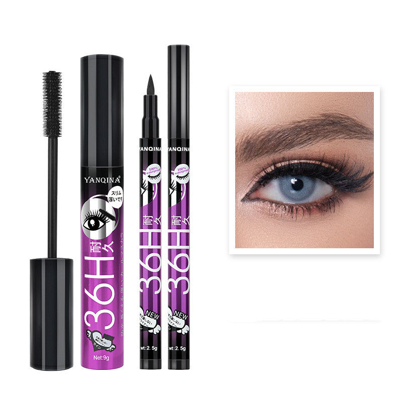 Eyeliner and Mascara Makeup Set - Eye Makeup Kit with Multiple Colors