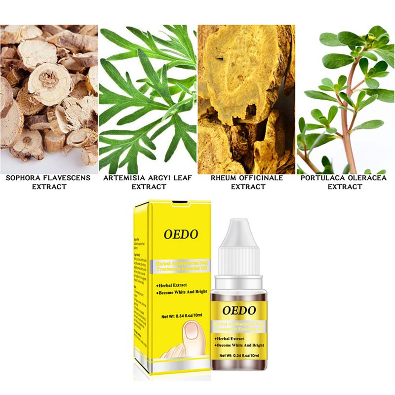 Ginseng Nail Essential Oil – 10ml