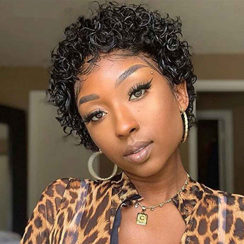 Black Short Curly Wig - Fluffy Exotic Human Hair Style