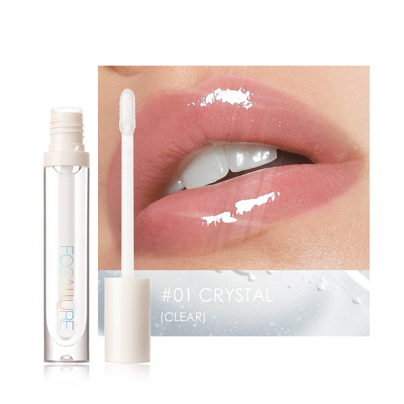 Plumpmax Nourishing Lip Gloss Set - High Shine & Shimmer, Non-Sticky, Multiple Styles