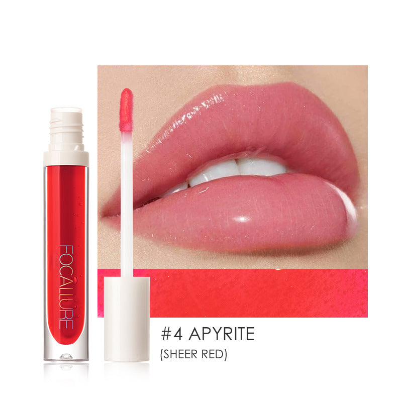 Plumpmax Nourishing Lip Gloss Set - High Shine & Shimmer, Non-Sticky, Multiple Styles