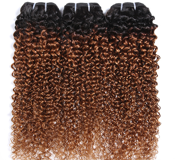 Real Human Hair Wig - Afro Kinky Curly, Multiple Sizes