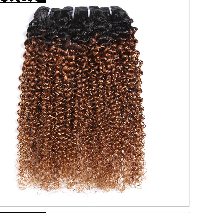 Real Human Hair Wig - Afro Kinky Curly, Multiple Sizes