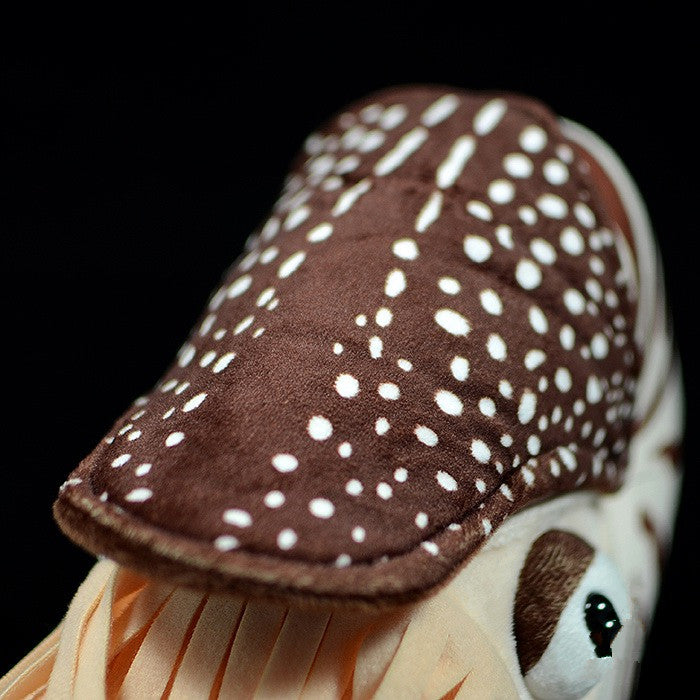 Nautilus Plush Toy Doll - Simulation Pearl Animal Model for Kids - Brown