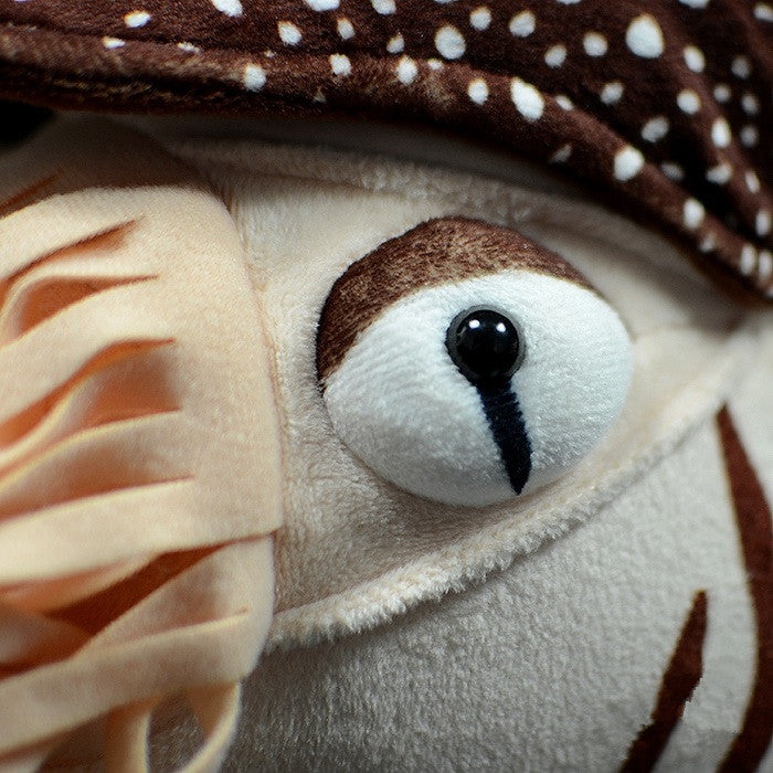 Nautilus Plush Toy Doll - Simulation Pearl Animal Model for Kids - Brown