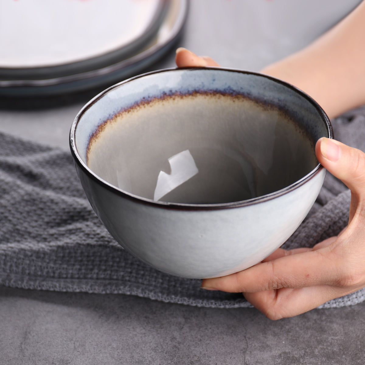 Japanese Style Retro Ice Cracked Glaze Porcelain Plate Bowl Cup Set