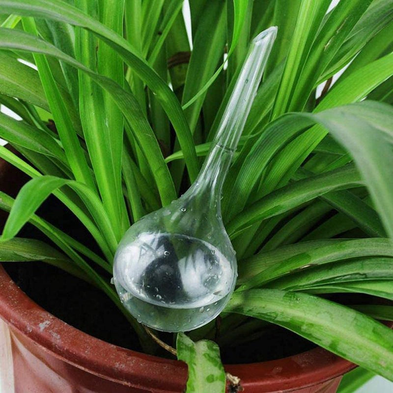 Hand Blown Glass Self-Watering Plant Irrigation Bulb Set - Decorative Spherical Watering Devices
