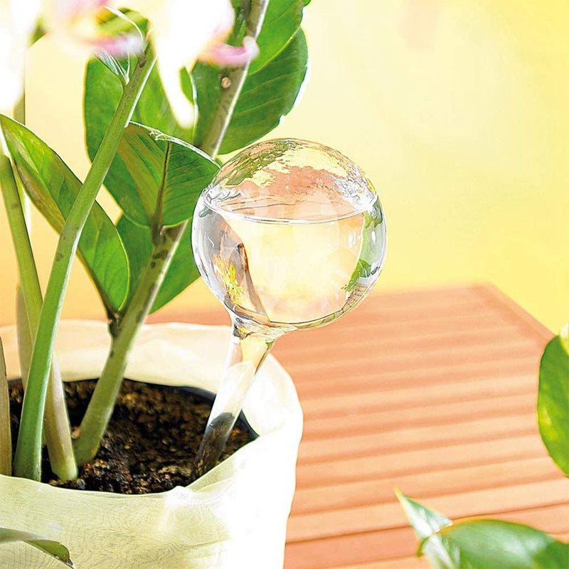 Hand Blown Glass Self-Watering Plant Irrigation Bulb Set - Decorative Spherical Watering Devices
