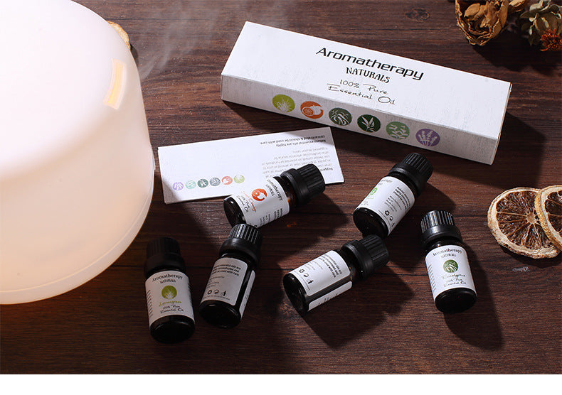 Aromatherapy Essential Oil Set - 6 Bottles