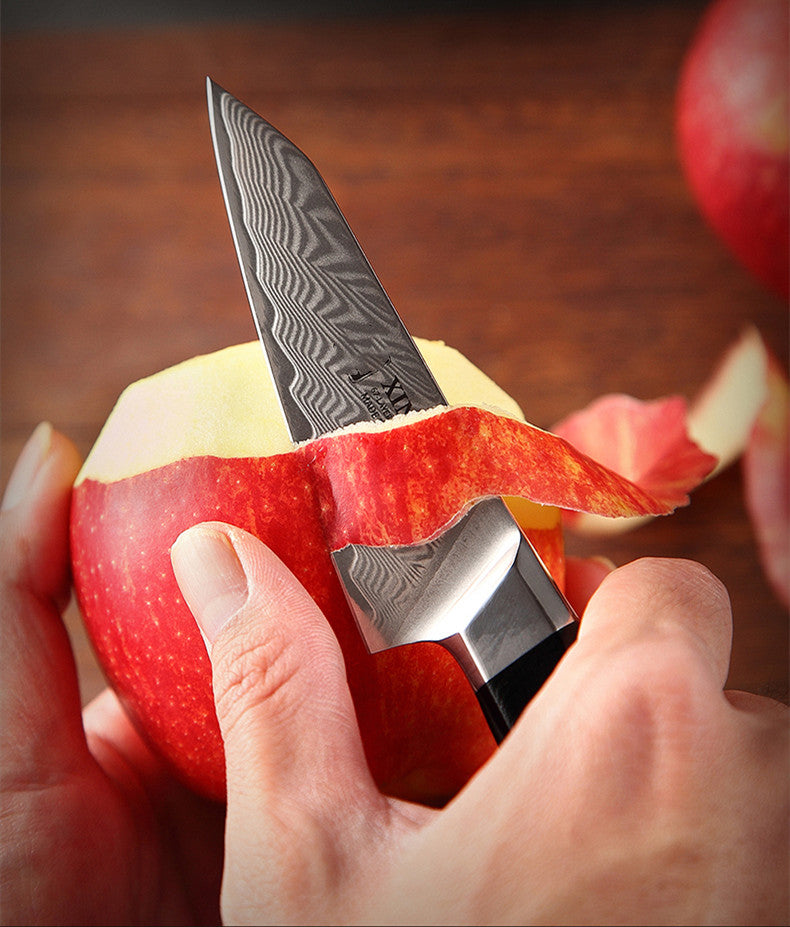 Damascus Steel 3.5 Inch Fruit Knife for Kitchen & Fruit Cutting