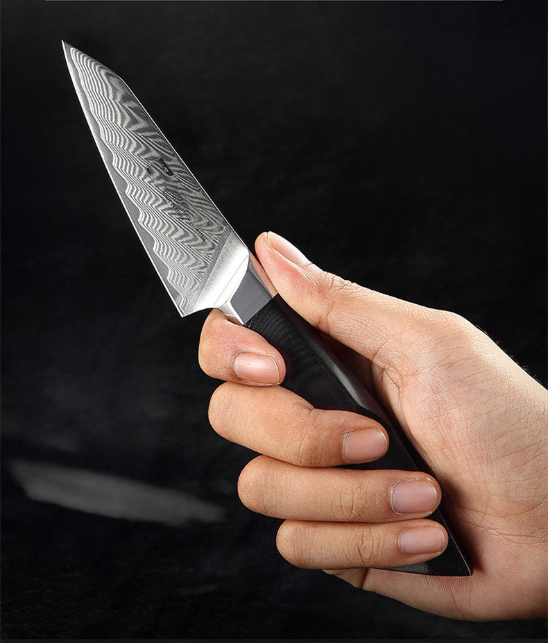 Damascus Steel 3.5 Inch Fruit Knife for Kitchen & Fruit Cutting