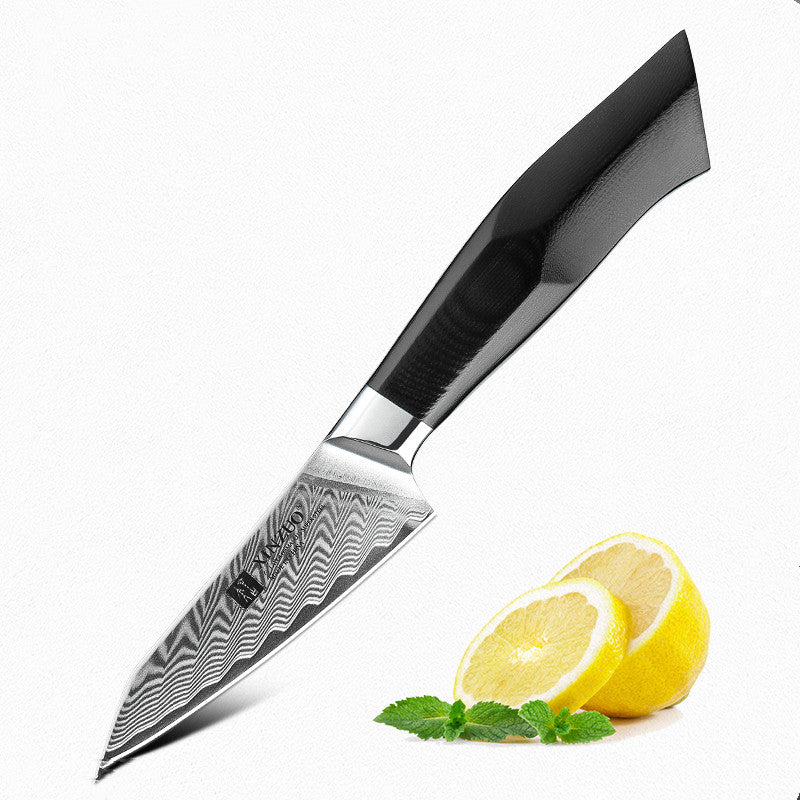 Damascus Steel 3.5 Inch Fruit Knife for Kitchen & Fruit Cutting