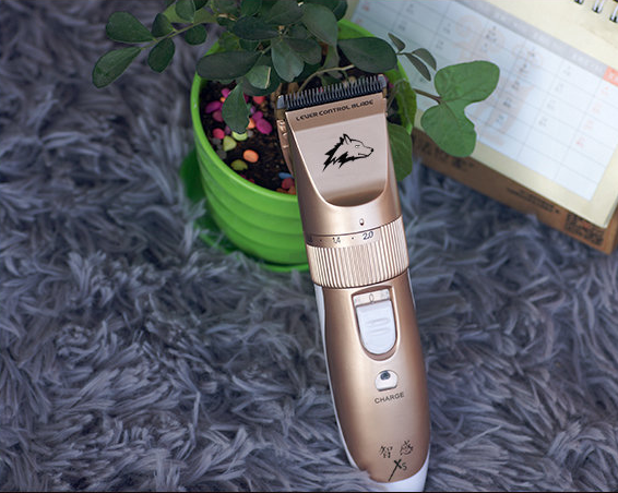 Professional Pet Hair Clipper Set - Golden