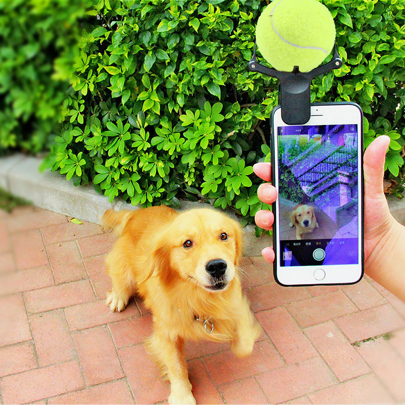 Pet Selfie Artifact Clip Toy for Dog Photos and Play - Green & Brown Variants