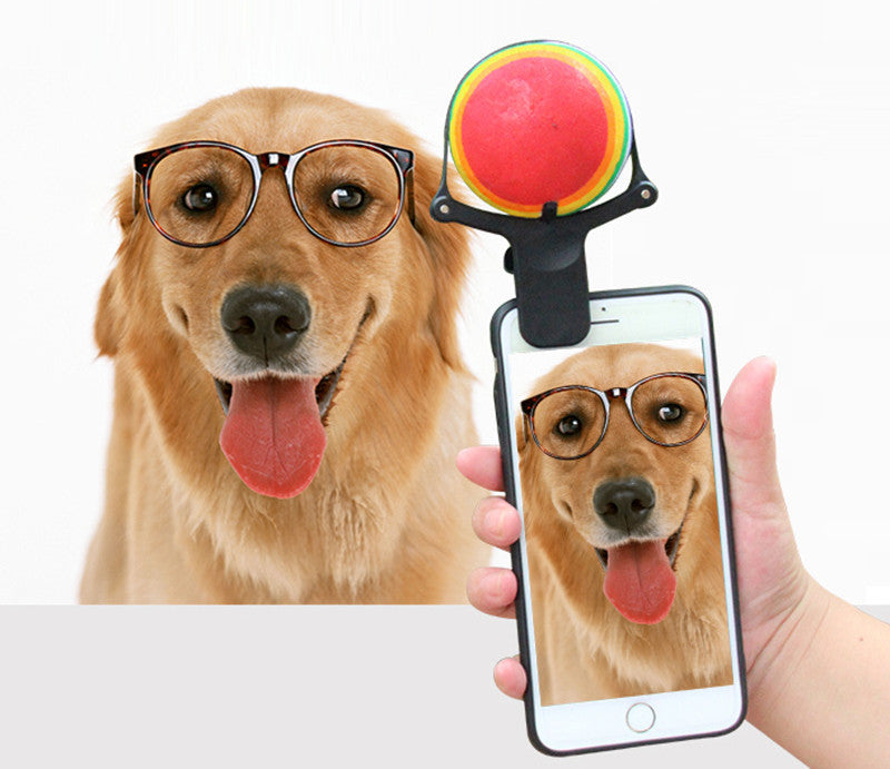 Pet Selfie Artifact Clip Toy for Dog Photos and Play - Green & Brown Variants