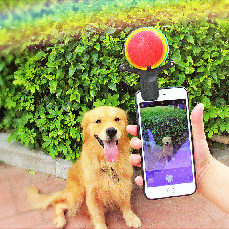 Pet Selfie Artifact Clip Toy for Dog Photos and Play - Green & Brown Variants