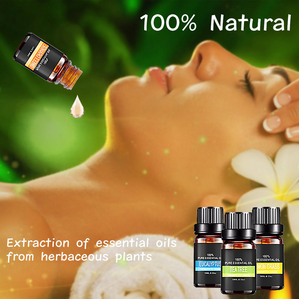 Natural Therapeutic Grade Essential Oil - 10ml Aromatherapy Fragrance Collection