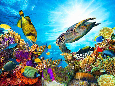Tortoise Animal Home Decor Embroidery Diamond Painting Wall Art