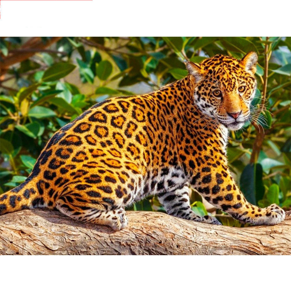 Diamond Painting Leopard Animal Art Kit - Full Square or Angle Sizes for Home Decor and Gifts