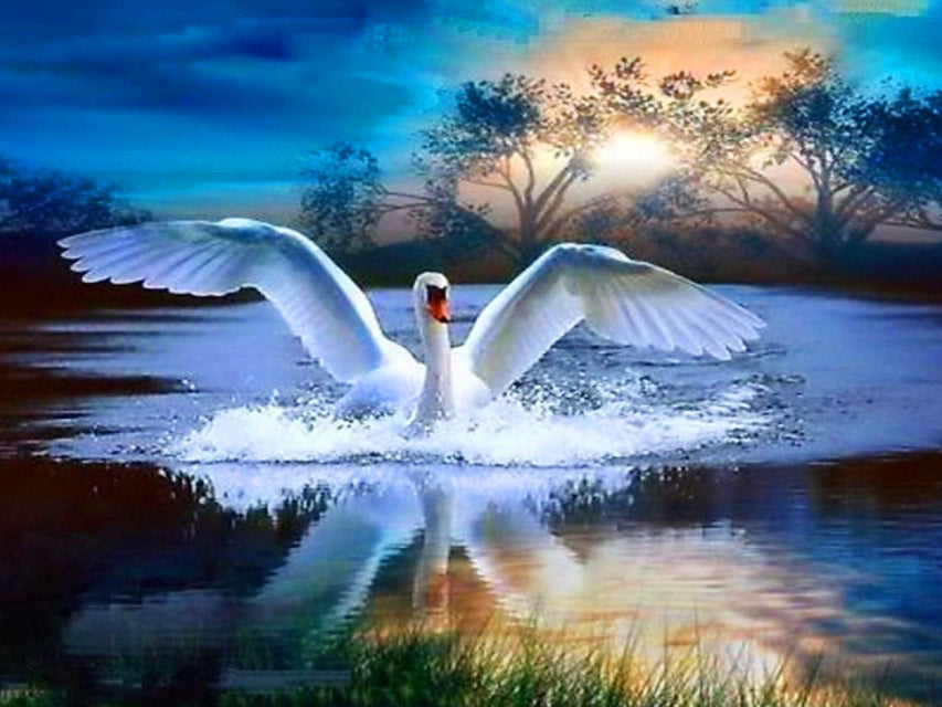 Modern White Goose Wall Art Canvas Painting for Home Decor