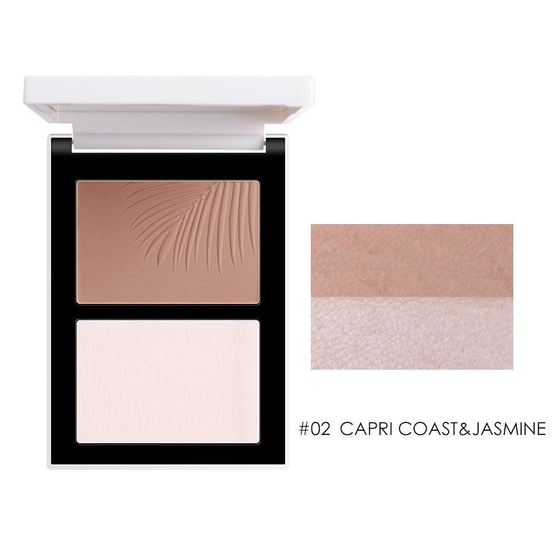 Two-Color Highlight Trimming Disc Shadow Silhouette Glitter Nose Shadow Highlighter Set