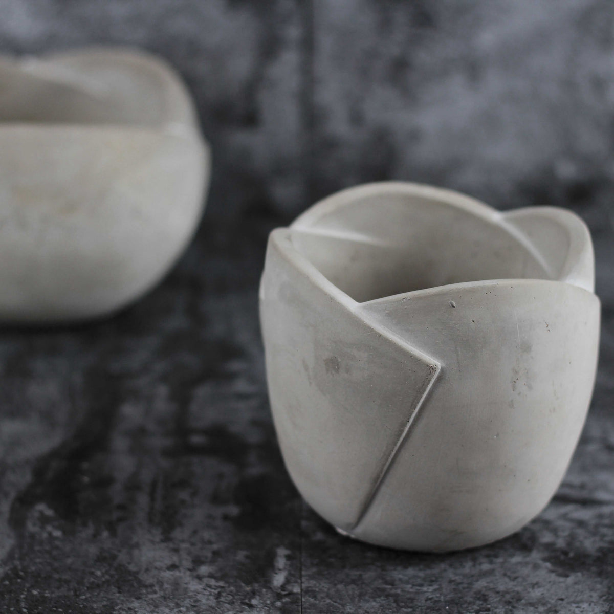 Succulent Flower Pot Mold for Cake, Cement, Plaster - Nordic Flower Design