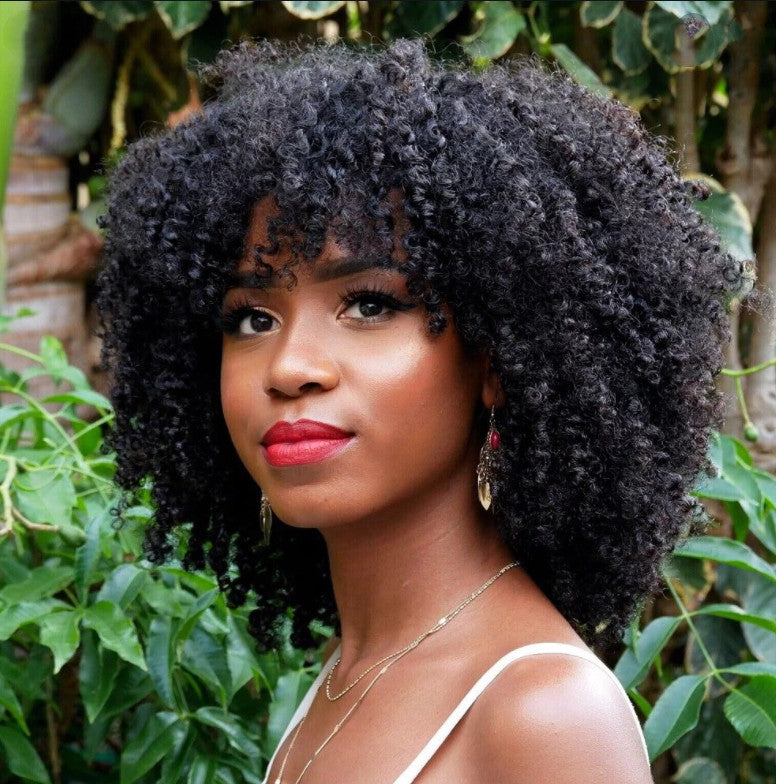 Short Curly Wig - Synthetic Hair, 14 inch