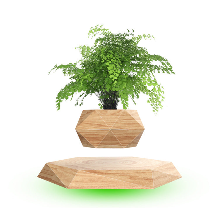 Magnetic Floating Bonsai Plant Rack - Creative Home Decor Gift