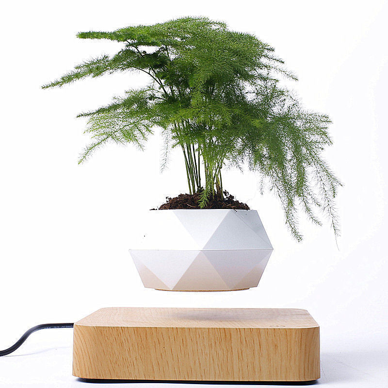 Magnetic Floating Bonsai Plant Rack - Creative Home Decor Gift