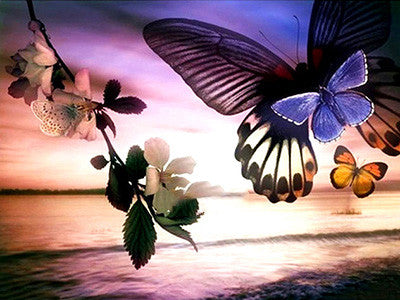 Diamond Painting Kit Butterfly Animal Cross Stitch Home Decor
