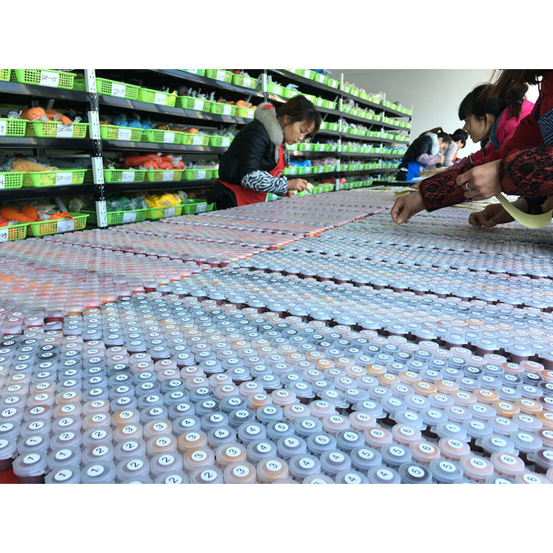 DIY Digital Oil Painting by Numbers 40x50cm Home Art Craft