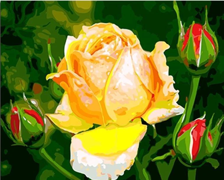 Digital Oil Painting for Home Decoration - Custom Canvas Art