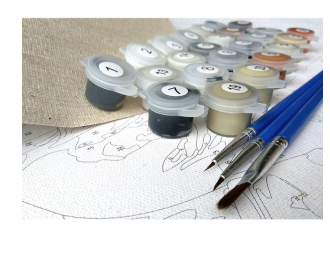 DIY Painting by Numbers Kit with Canvas & Acrylic Paint - Home & Garden Craft