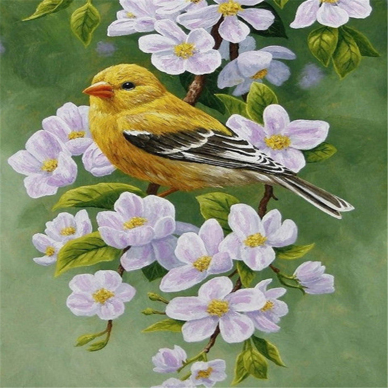 Adult Diamond Painting Kit Bird Wall Art Embroidery - Multiple Sizes & Styles