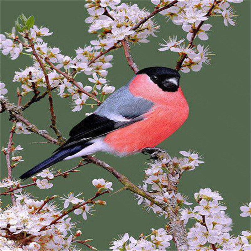 Adult Diamond Painting Kit Bird Wall Art Embroidery - Multiple Sizes & Styles
